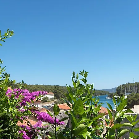 Roza Maison d'hôtes Vrboska