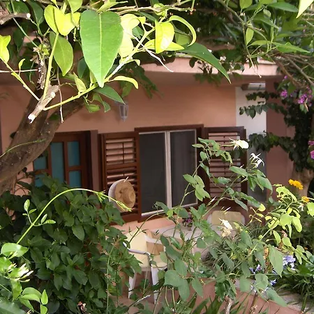 Roza Maison d'hôtes