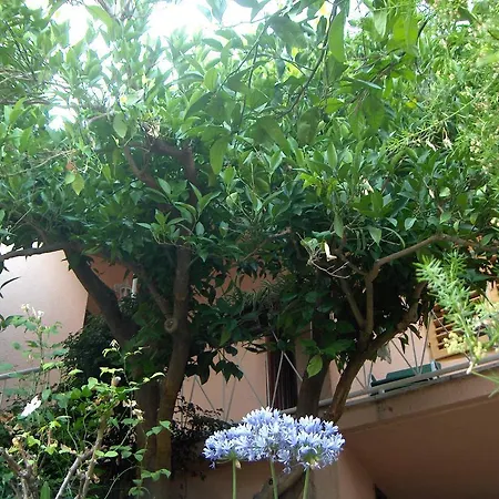 Roza 3* Vrboska