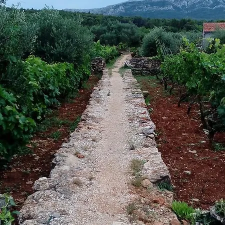 Maison d'hôtes Roza Vrboska