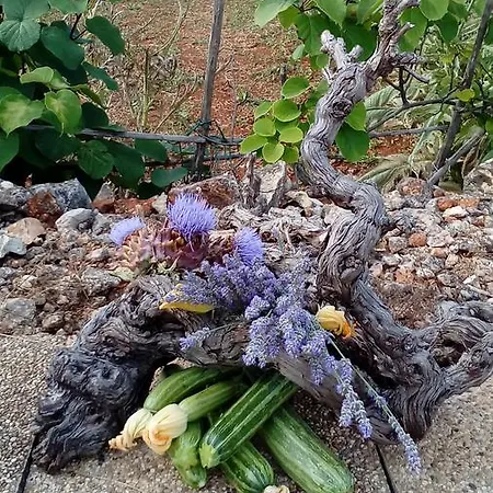 Roza Maison d'hôtes