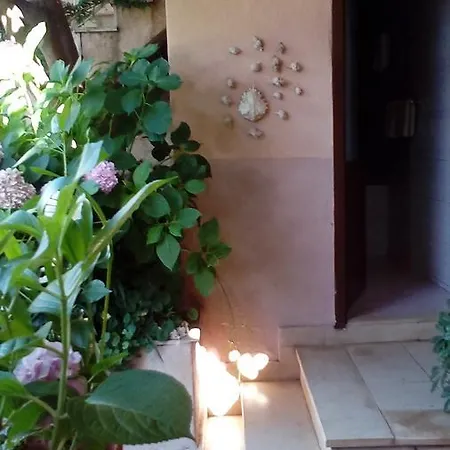 Roza Maison d'hôtes Vrboska