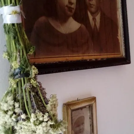 Roza Vrboska
