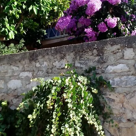 Roza 3* Vrboska