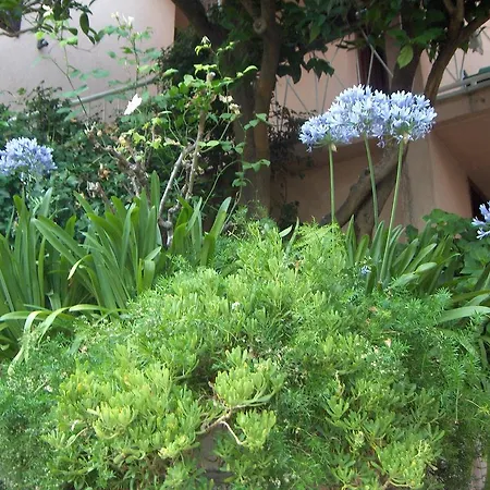 Roza Affittacamere Vrboska