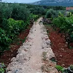 Guest house Roza Vrboska