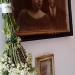 Roza Vrboska