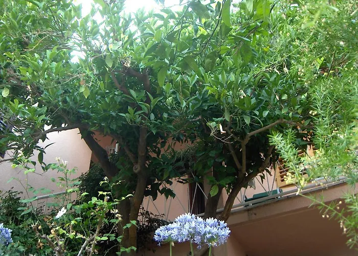 Roza 3* Vrboska