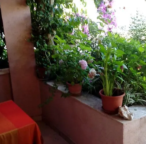 Penzion Roza 3*